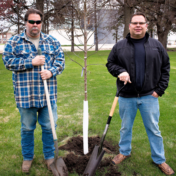 Planting A Tree